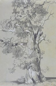 Parham, 13 de octubre de 1834